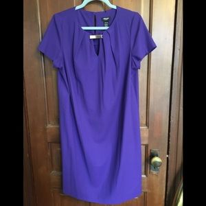 Olsen Europe sheath, knee length dress - 12/14